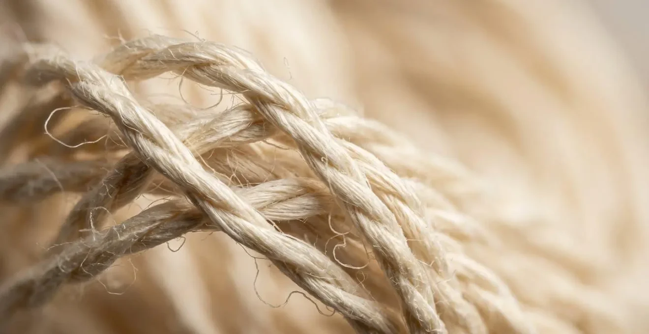 Dettaglio macro delle fibre di cotone organico che mostrano la struttura intatta e resistente